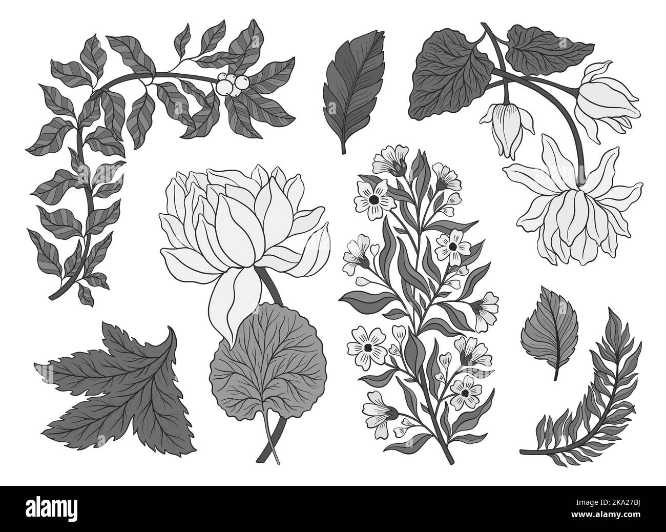Collection flower outline hand drawn style. Asian national symbol lotus plant. Vintage sketch design. Vector illustration. Stock Vector