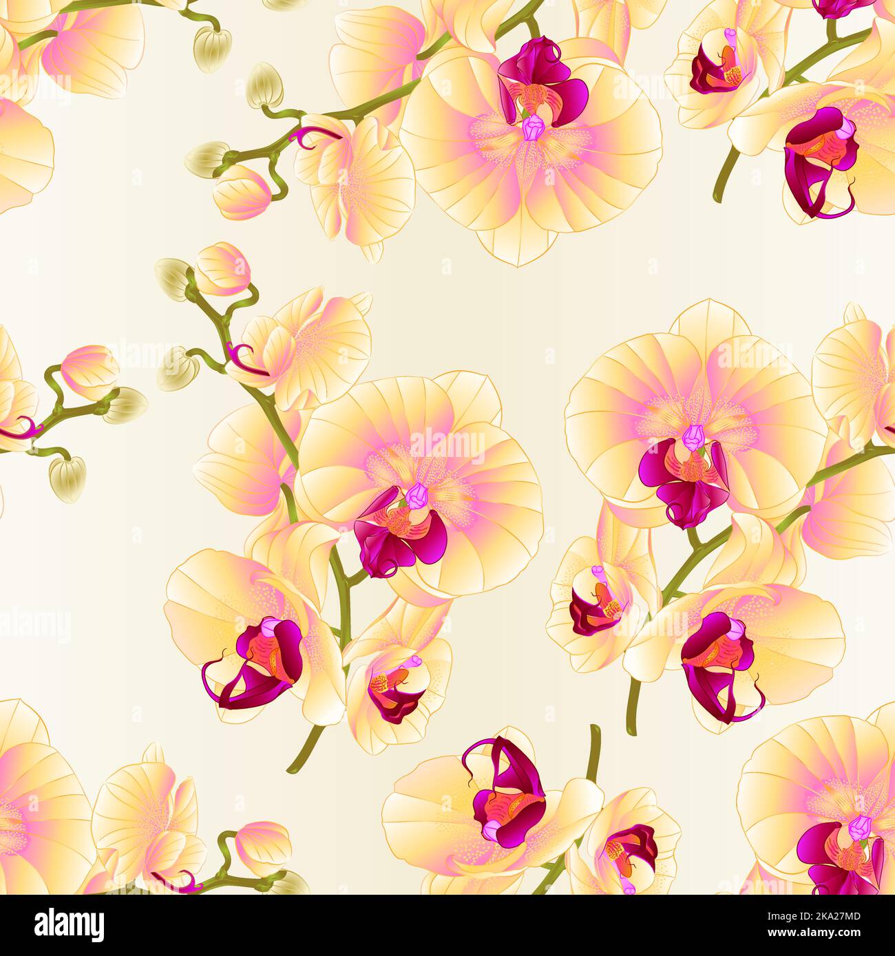 Seamless Texture Branch Orchids Yellow Flowers Phalaenopsis Tropical