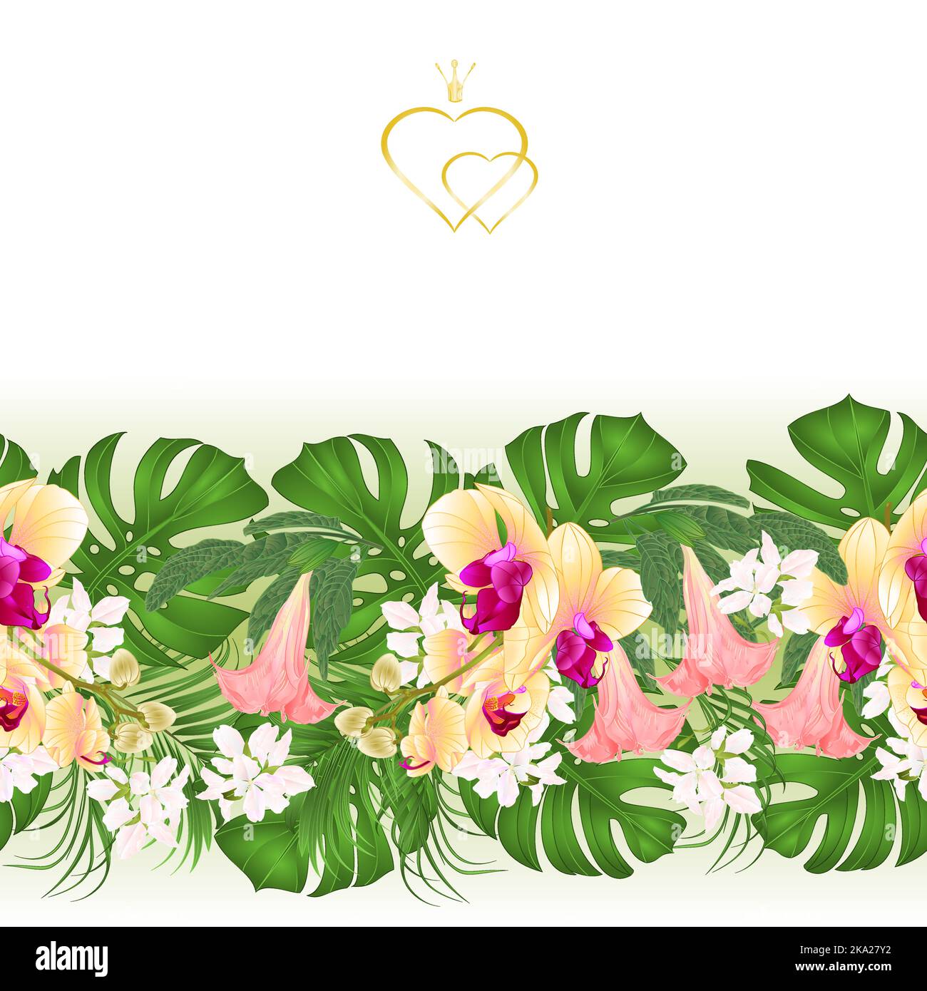 Floral border seamless background bouquet with tropical flowers floral ...