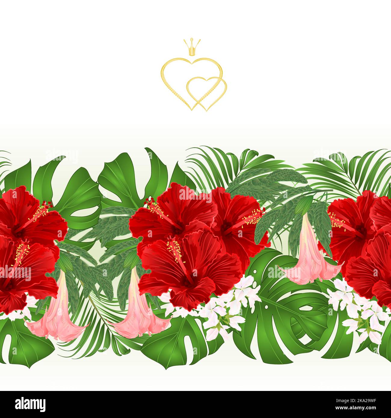 Floral border seamless background bouquet with tropical flowers floral ...