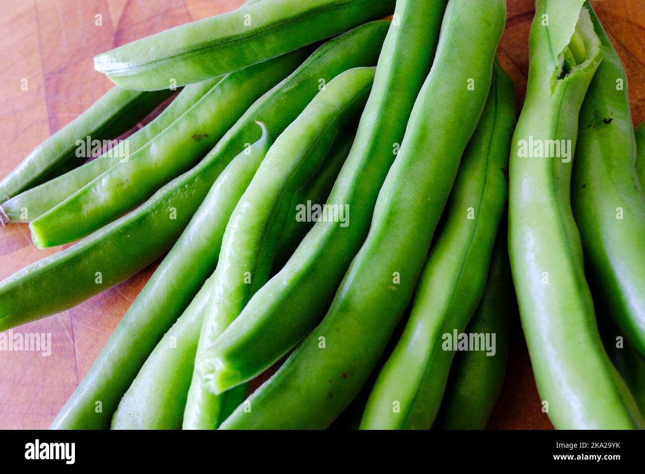 Freshly picked broad bean pods on a wooden chopping board - John Gollop Stock Photo