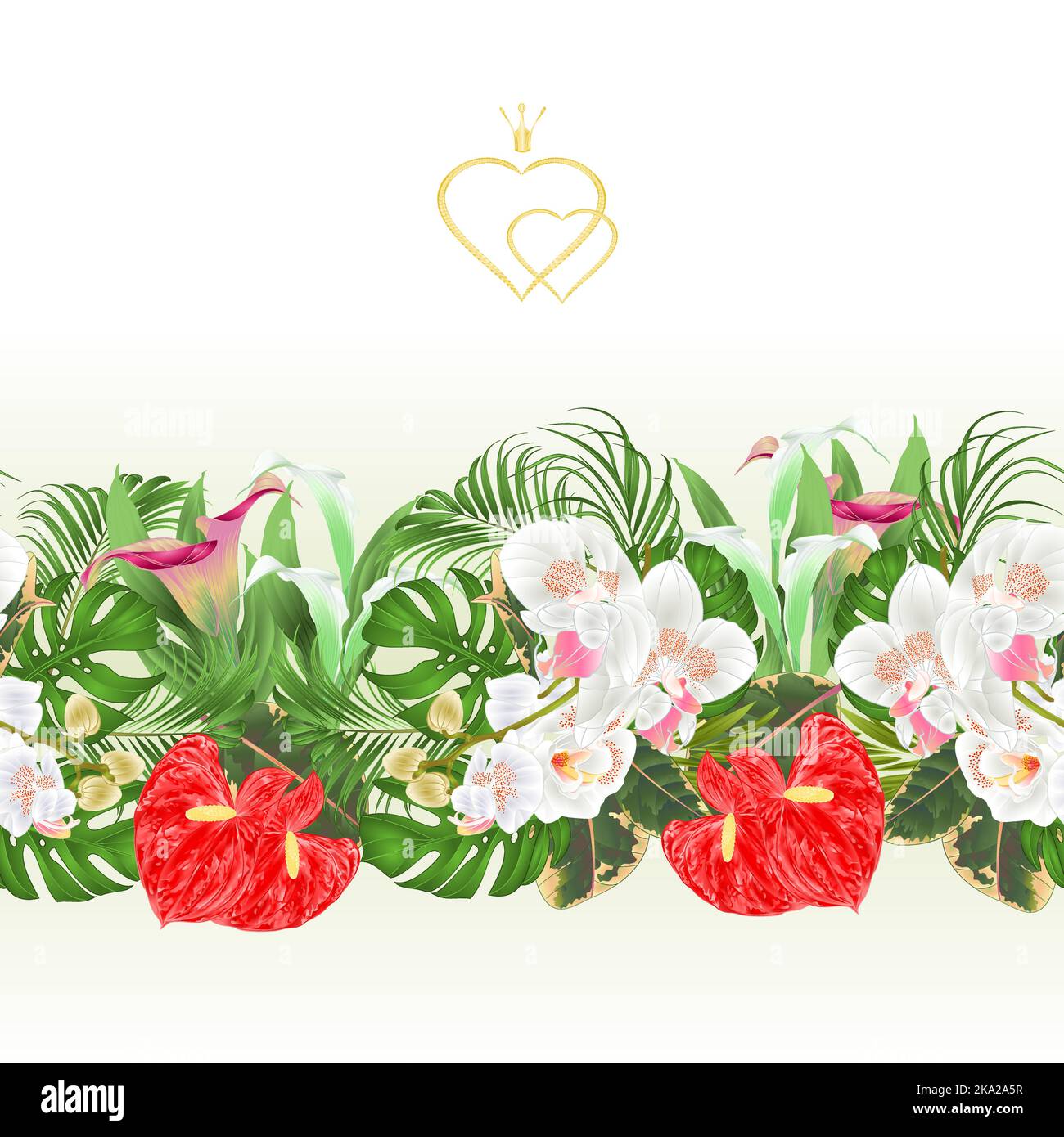 Floral border seamless background bouquet with tropical flowers floral ...
