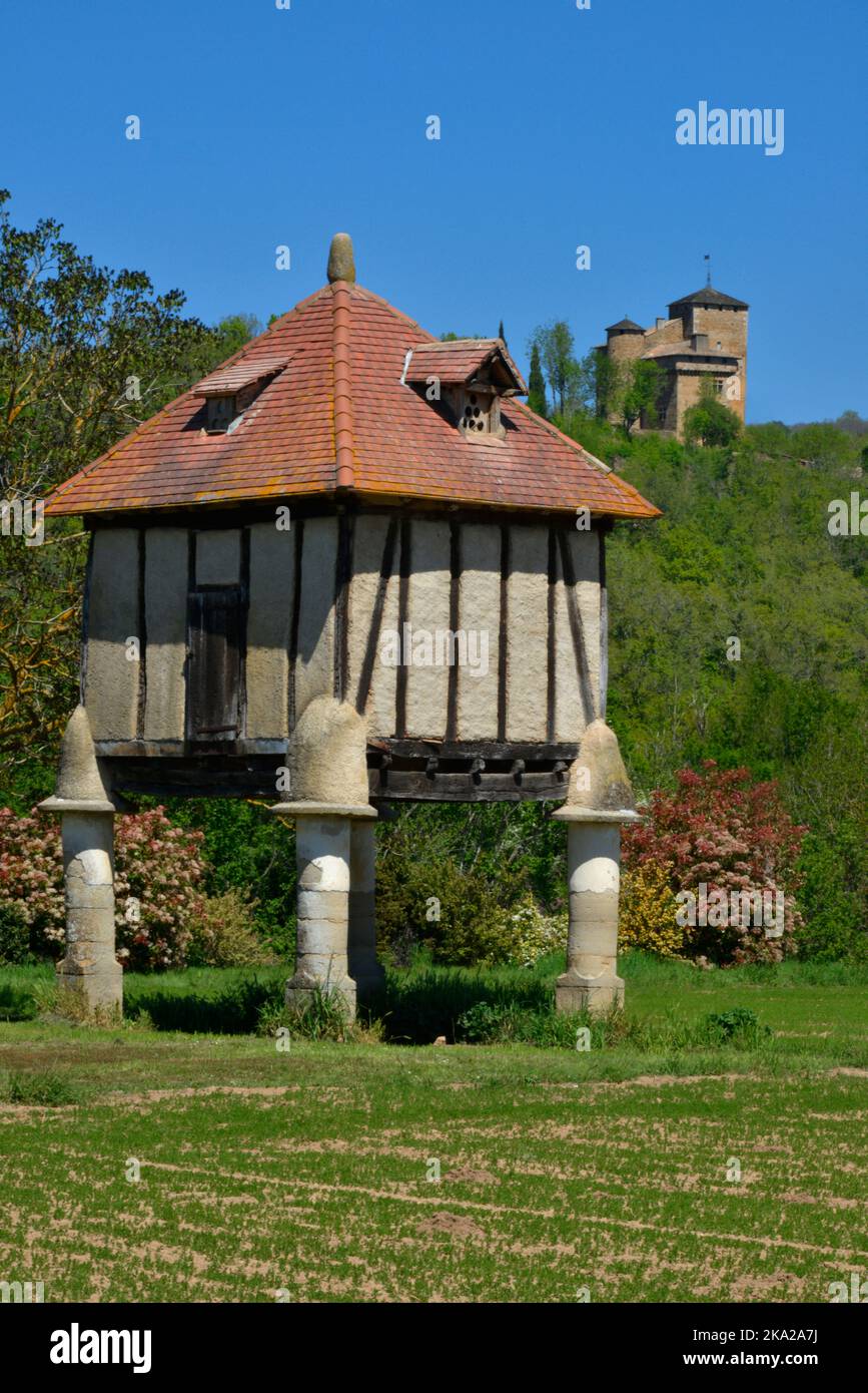 Portrait view of a typical French, free standing 15th century pigeonnier (pigeon house), here in Riols, Occitanie. Stock Photo