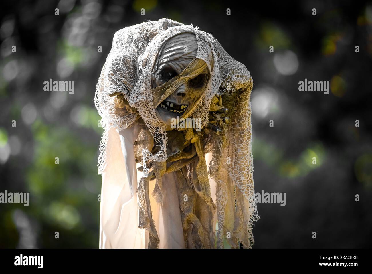 Halloween lawn decorations Stock Photo Alamy