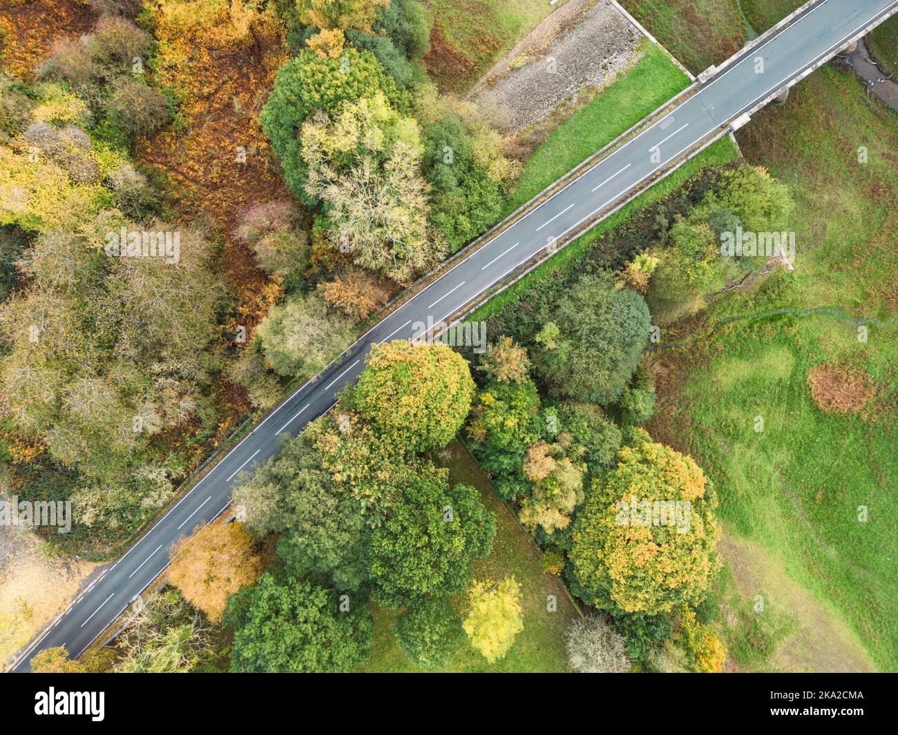 Aerial view of a straight road through autumn woodland in North Yorkshire, UK. B6451 highway travelling through the countryside of Yorkshire Dales. Stock Photo