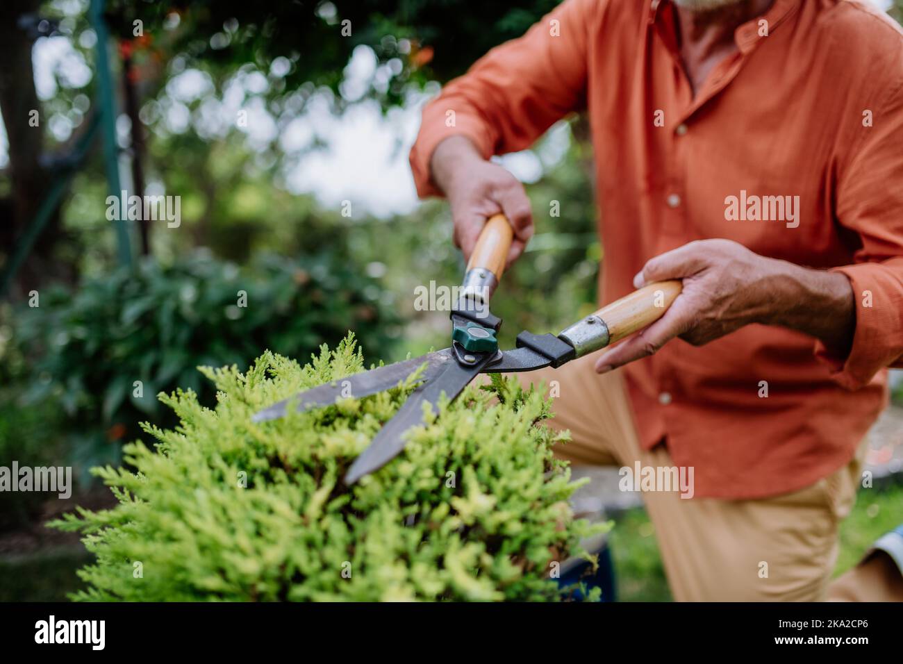 Cutting bushes in the garden hi-res stock photography and images - Alamy