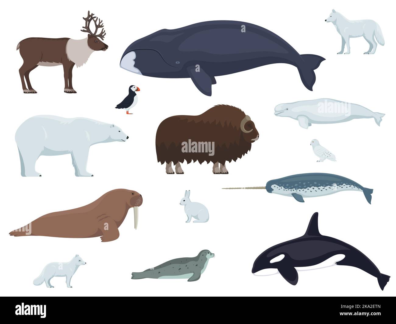 Set of arctic animals. Vector illustration set of different colored polar arctic animals isolated on white. Side view, flat design. Stock Vector