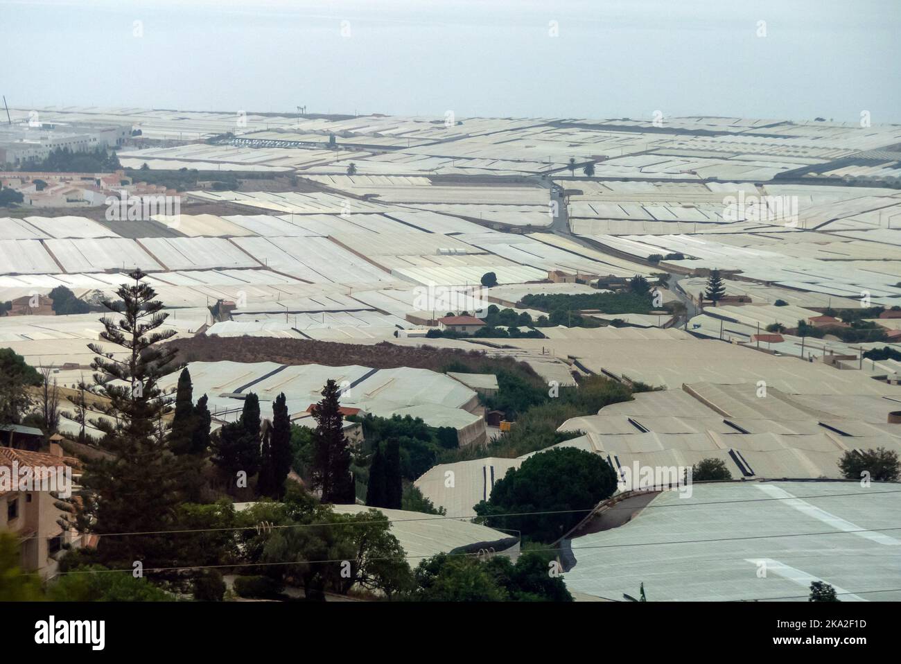 Almeria in Spain: Plastic greenhouses (invernaderos) in the El Ejido region Stock Photo