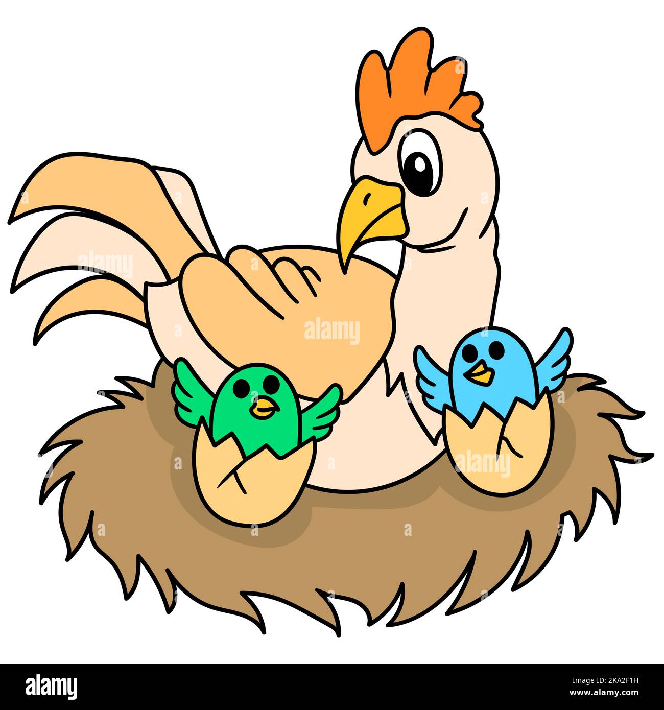 An illustration of a chicken and its chicks in their nest isolated on a ...