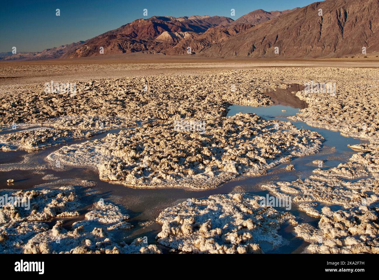 Salt crust and recent rain water at Mojave Desert, sunset, Black Mountains in distance from Mormon Point in Death Valley Natl Park, California, USA Stock Photo