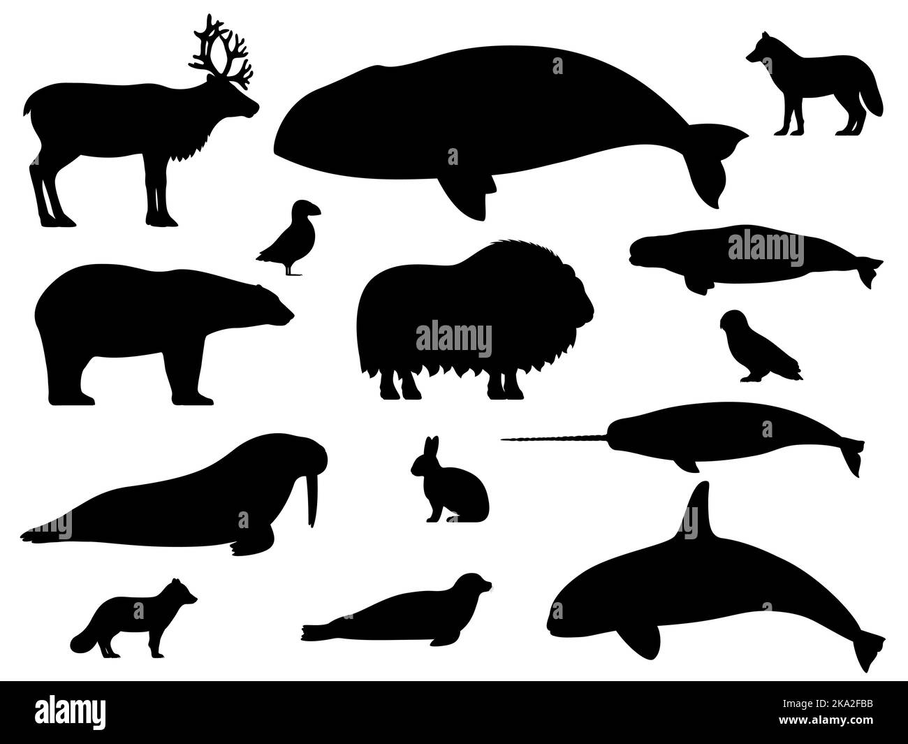 Set of arctic animals silhouettes. Vector illustration set of black silhouettes of northern polar arctic animals isolated on white background. Side vi Stock Vector