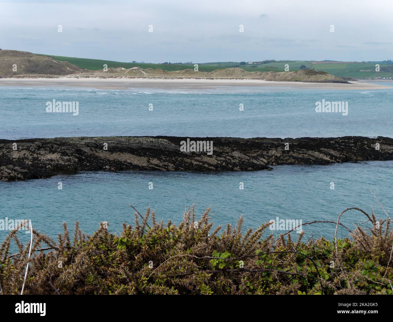 Dense bushes. View of Clonakilty Bay. Sea rocks. A picturesque place in Europe, rock near water. The nature of Ireland. Stock Photo