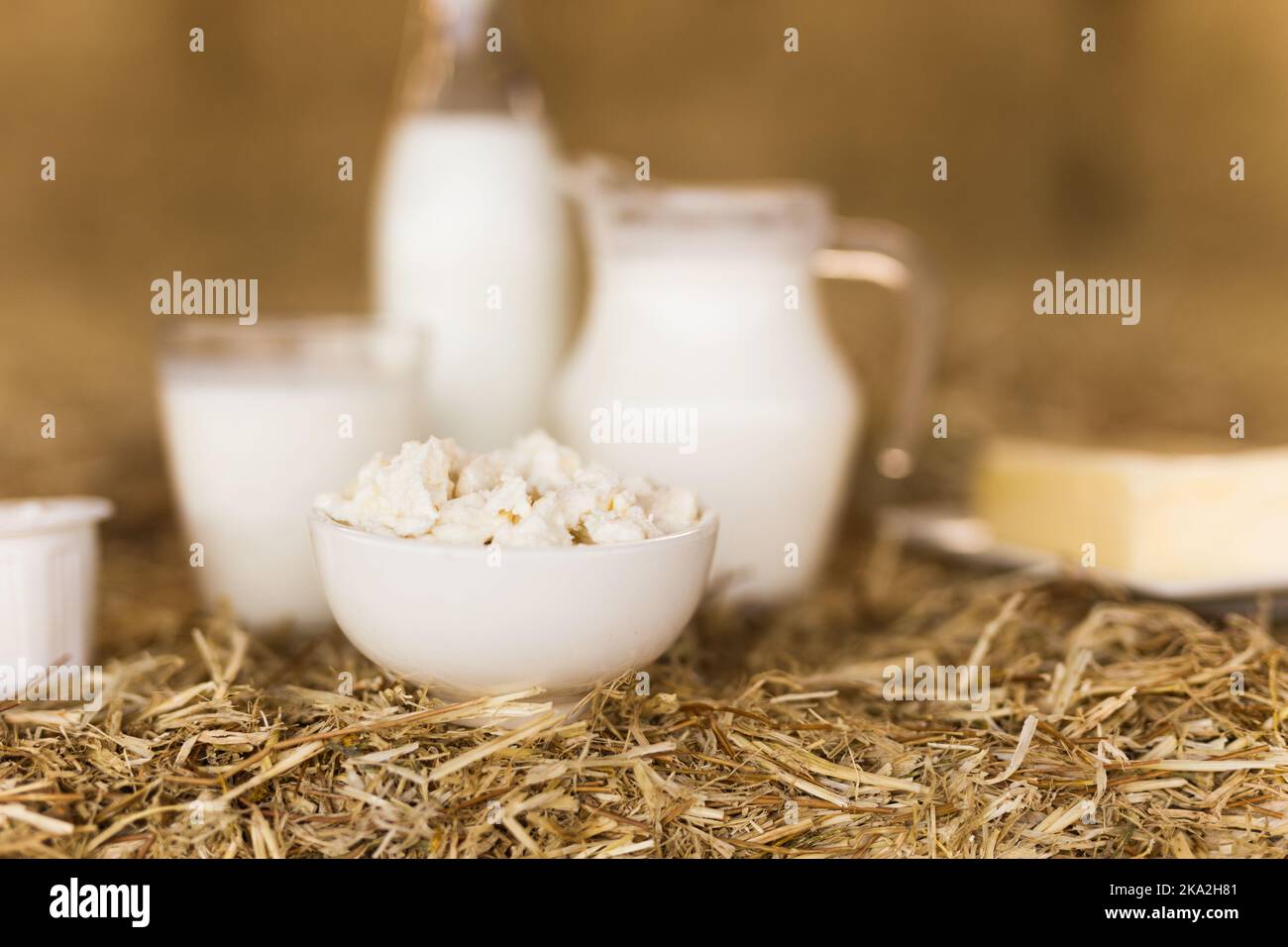 milk, cottage cheese, cream, cheese on table against the background of hay Stock Photo