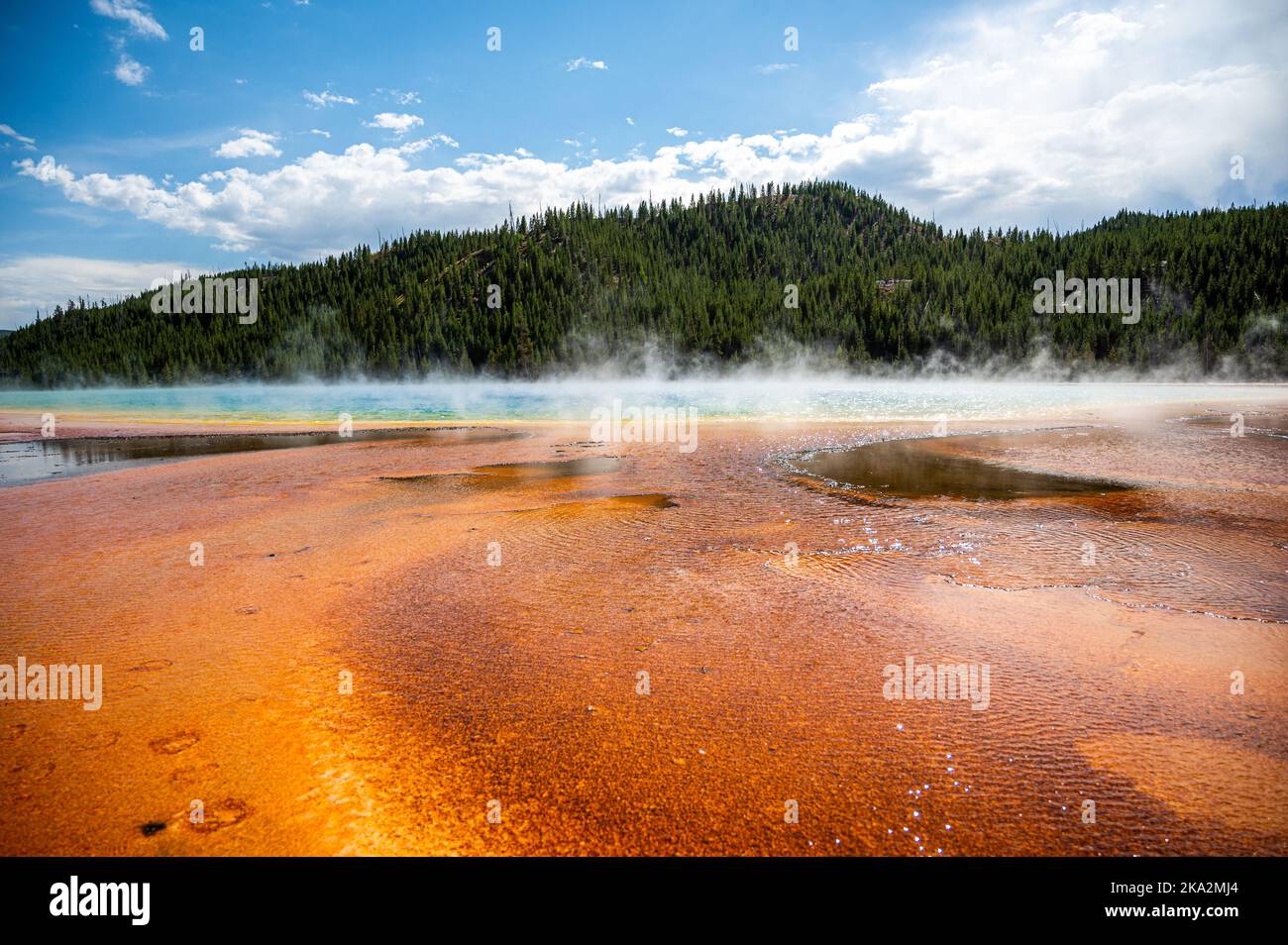 A beautiful shot of geysers and the hydrothermal system at the Yellowstone National Park Stock Photo