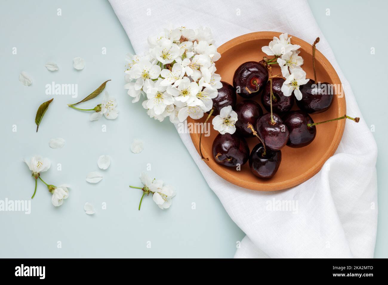 Cherry blossom and imperfect cherries Stock Photo