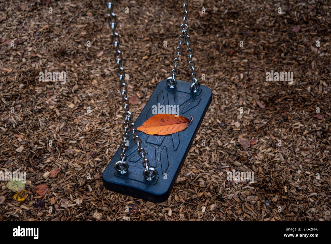 autumnal colored leaf on a swing Stock Photo