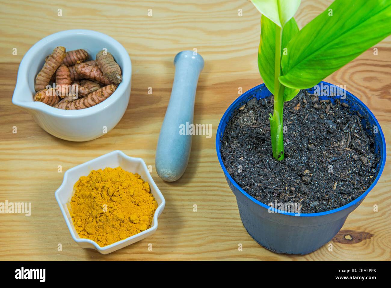 turmeric, plant, roots and powder Stock Photo