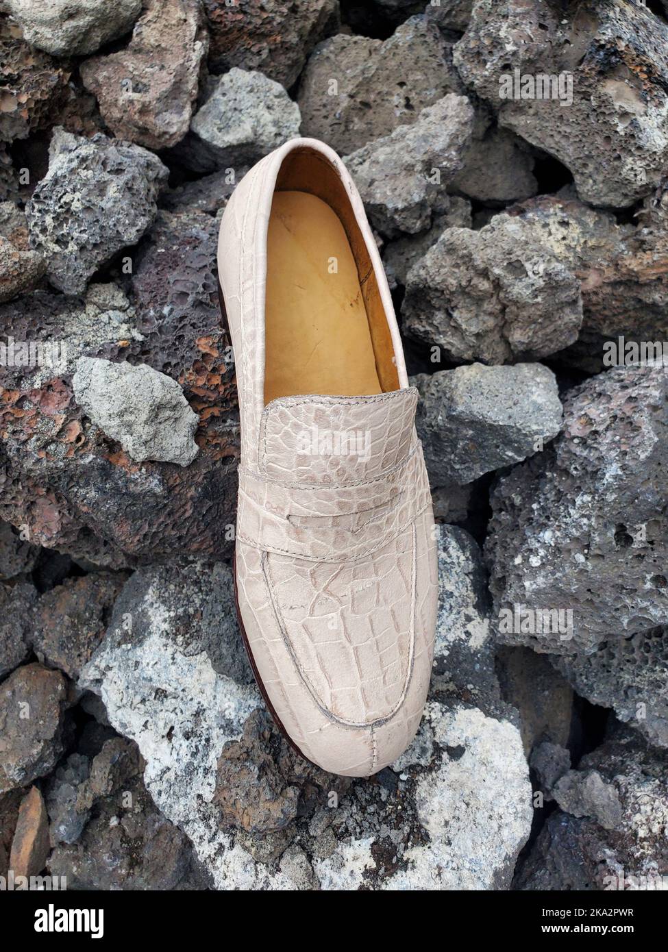 Genuine Alligator Skin Shoes Stock Photo - Download Image Now - Alligator  Leather, Alligator Pattern, Animal Themes - iStock