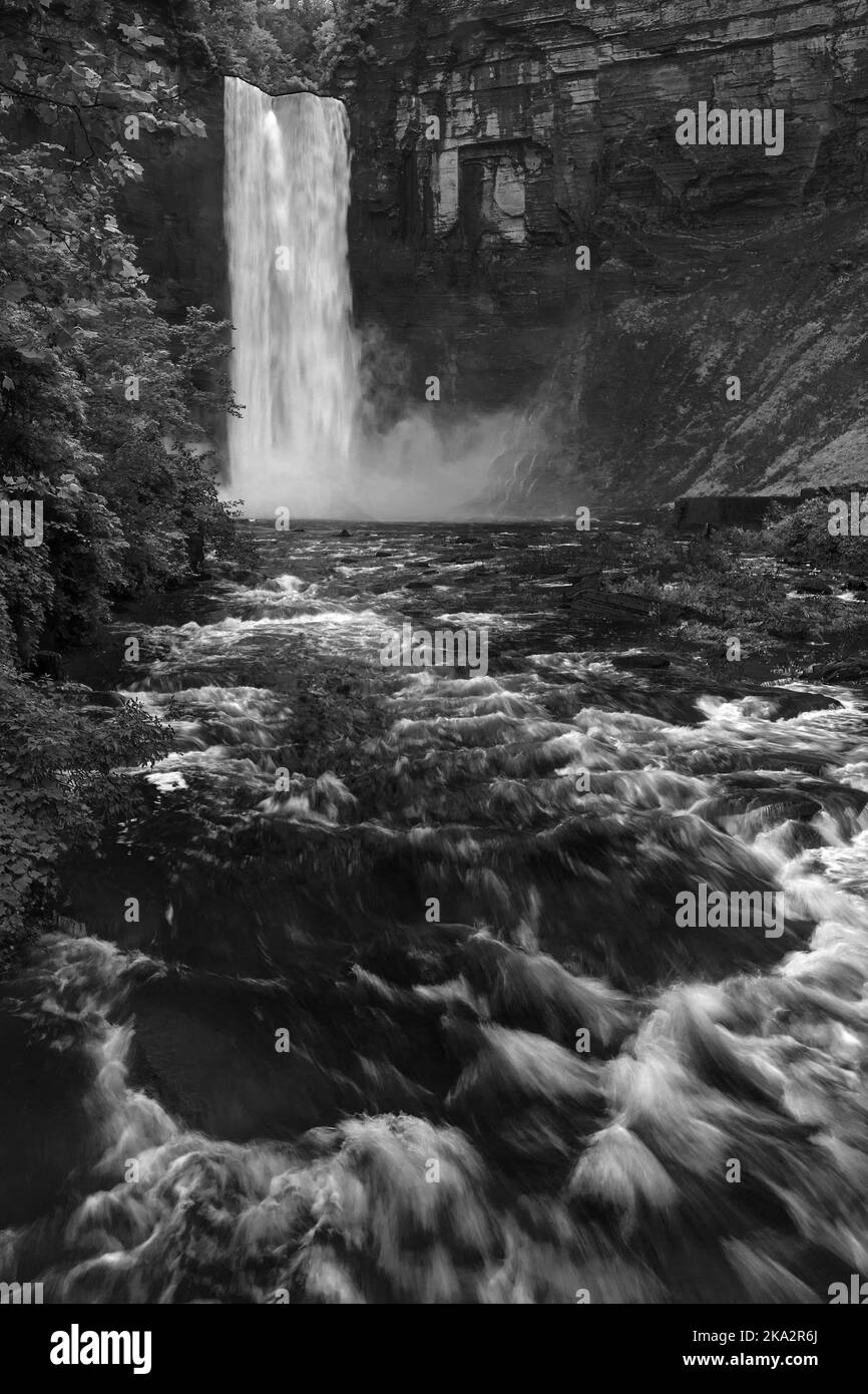 Heavy summer rainfall has Taughannock falls rushing with water, far, far more than usual in July.  Taughannock Falls, Taughannock Fall State Park, Tom Stock Photo