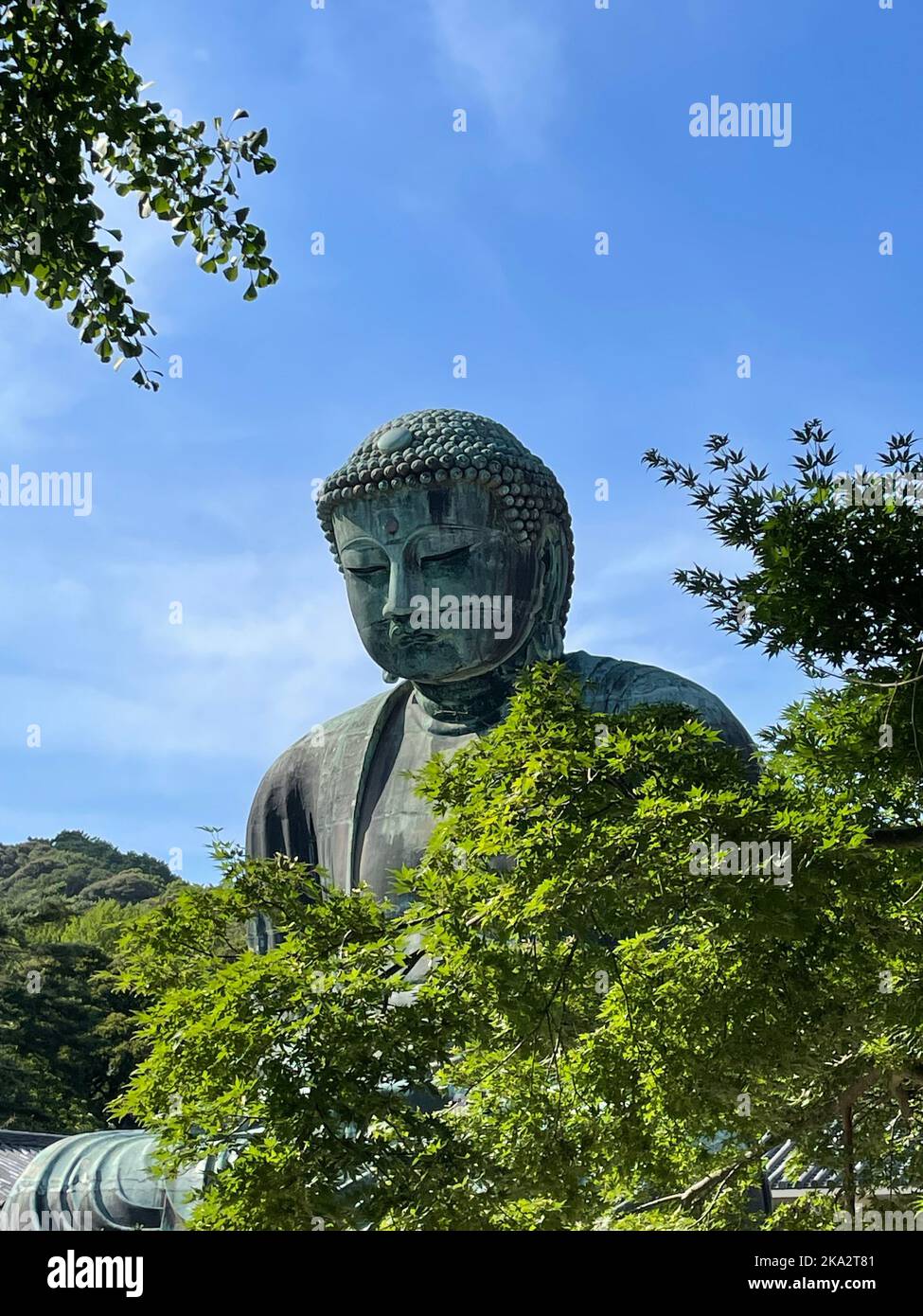 The Great Buddha of Kamakura at Kotoku-in Temple in Tokyo, Japan Stock ...