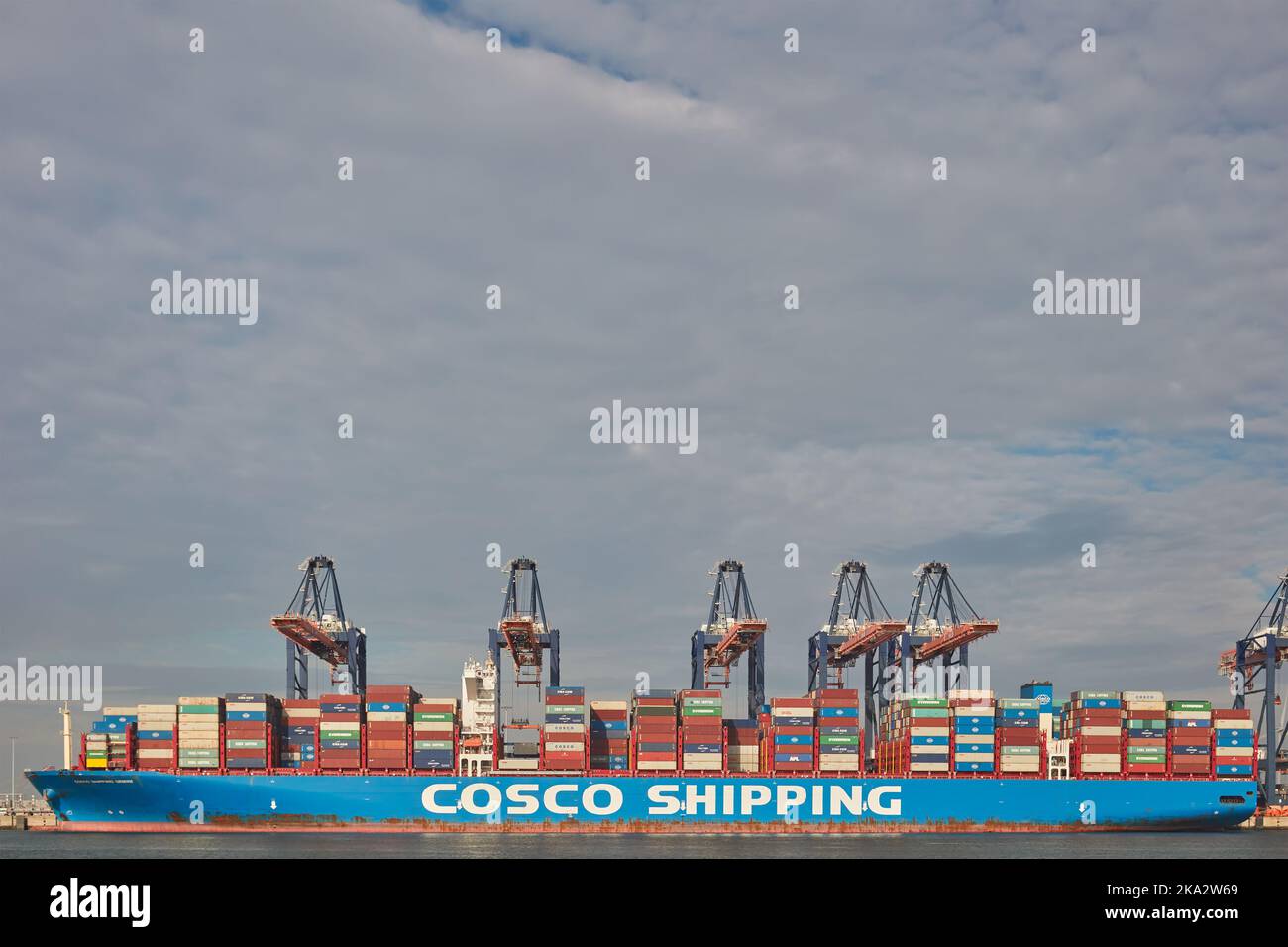 Rotterdam, The Netherlands - October 12, 2022: Large cargo container ship from the Chinese Cosco Shipping company docked on the Dutch Maasvlakte Stock Photo