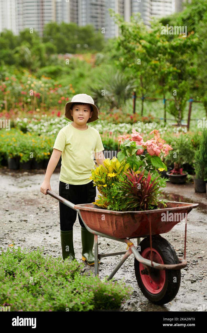 Cute little boy pushing wheelbarrow with potted plants Stock Photo - Alamy