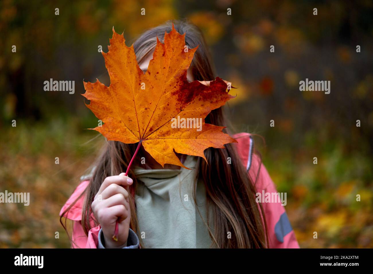 a-girl-in-an-autumn-park-holds-a-maple-leaf-in-front-of-her-face-the
