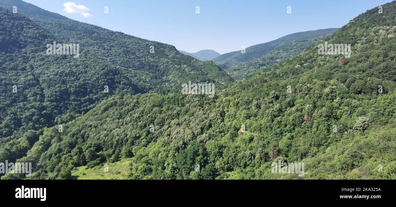 A scenic shot of mountain forests under the clear blue sky Stock Photo ...