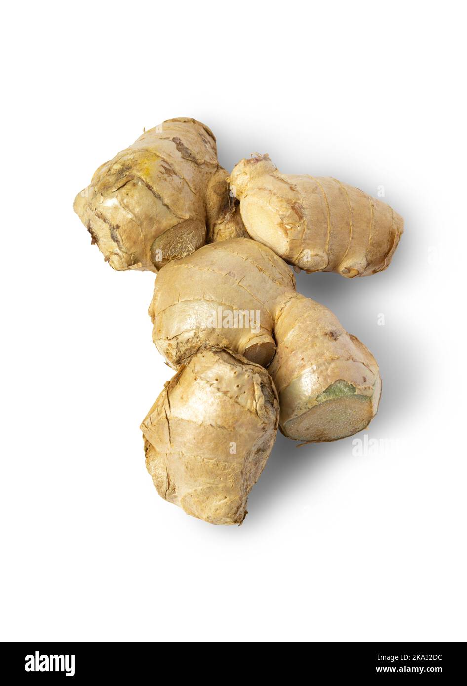 Raw Ginger isolated on white background. Clipping path. Close up. Stock Photo