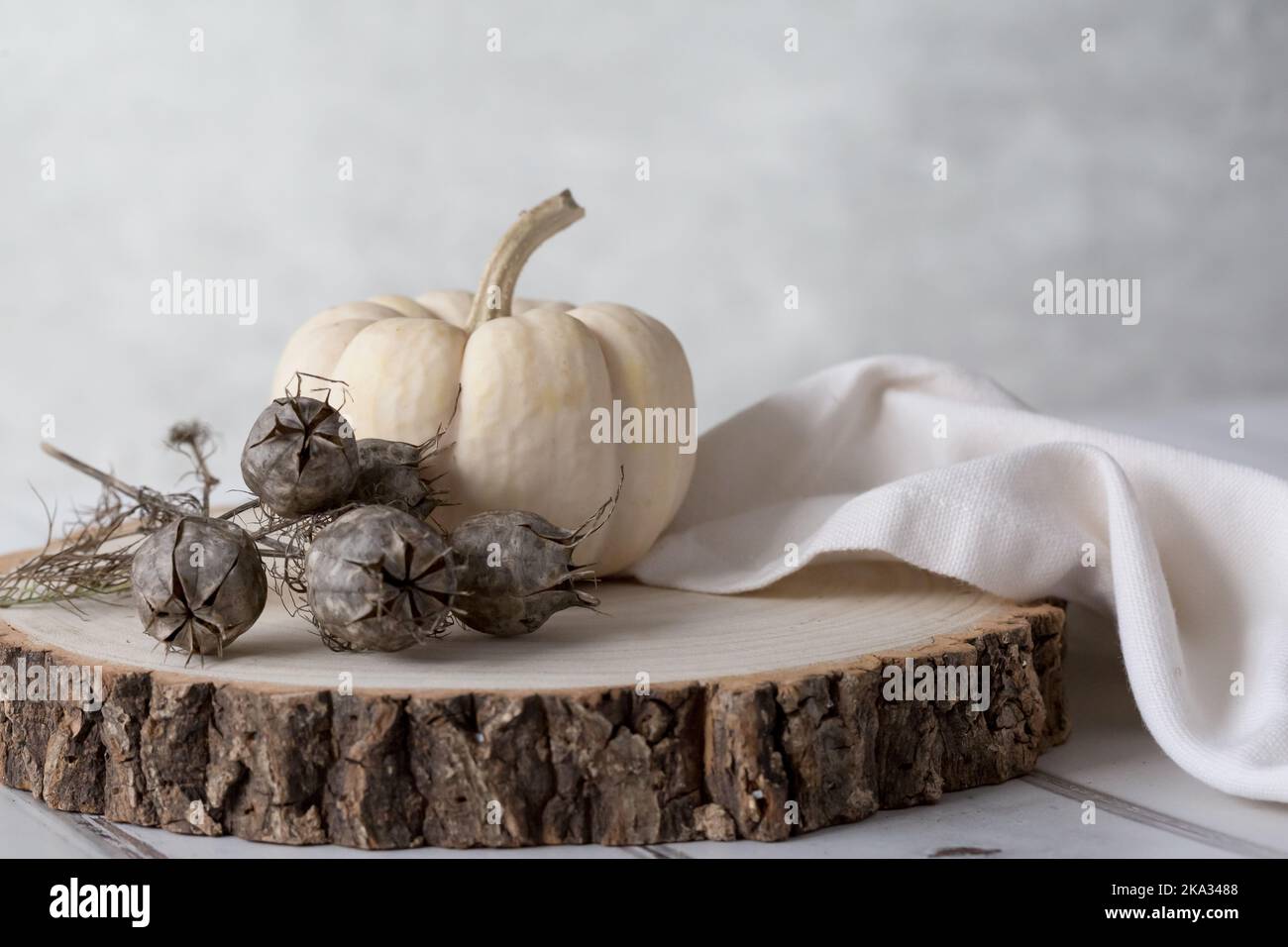 Baby Boo Ghost pumpkin on wooden block with Nigella seeds and cream linen napkin against a light background. Crisp, light and airy. Space for copy. Stock Photo