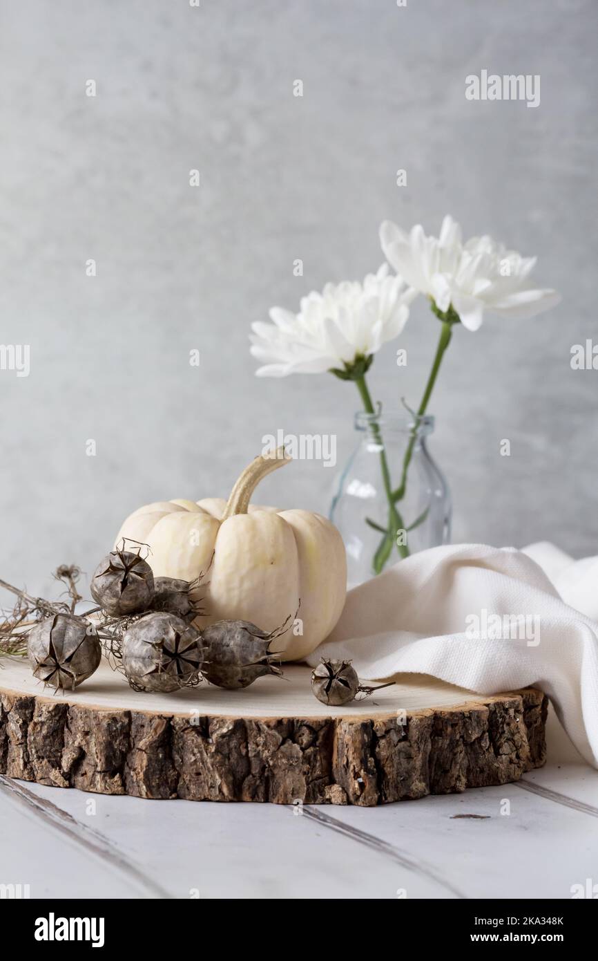 BabyBoo Ghost pumpkin on wooden block with Nigella seeds, linen napkin, white Chrysanthemums against a light background. Space for copy Stock Photo