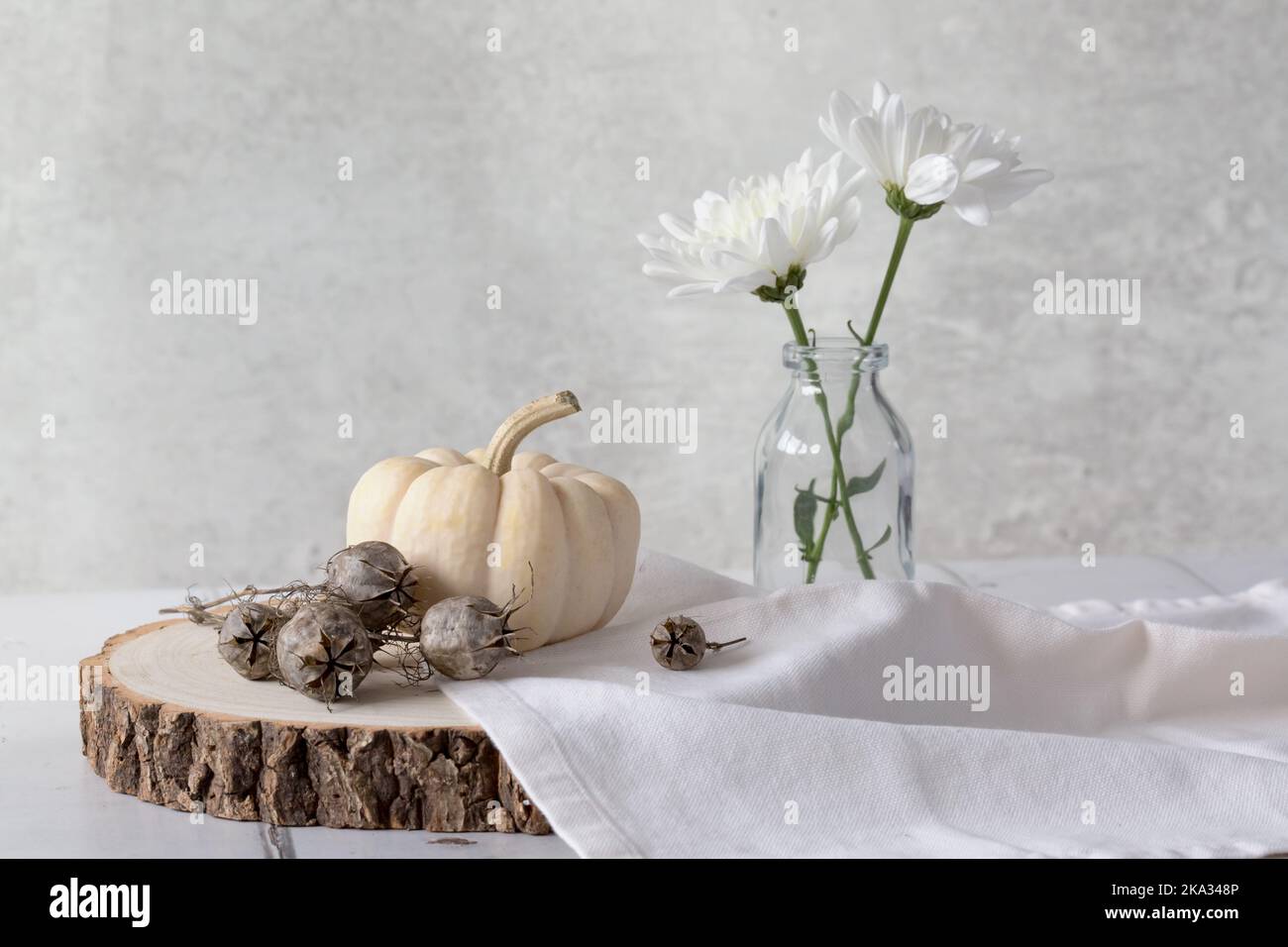 Baby Boo Ghost pumpkin on wooden block with Nigella seeds, linen napkin and 2 white Chrysanthemums against a light background. Crisp, light and airy. Stock Photo