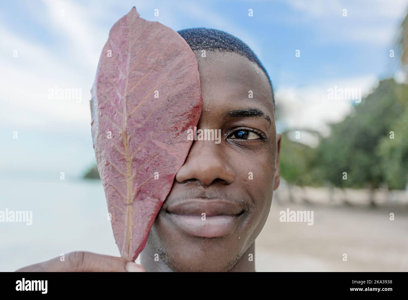One eye with portrait leaf hi-res stock photography and images - Alamy