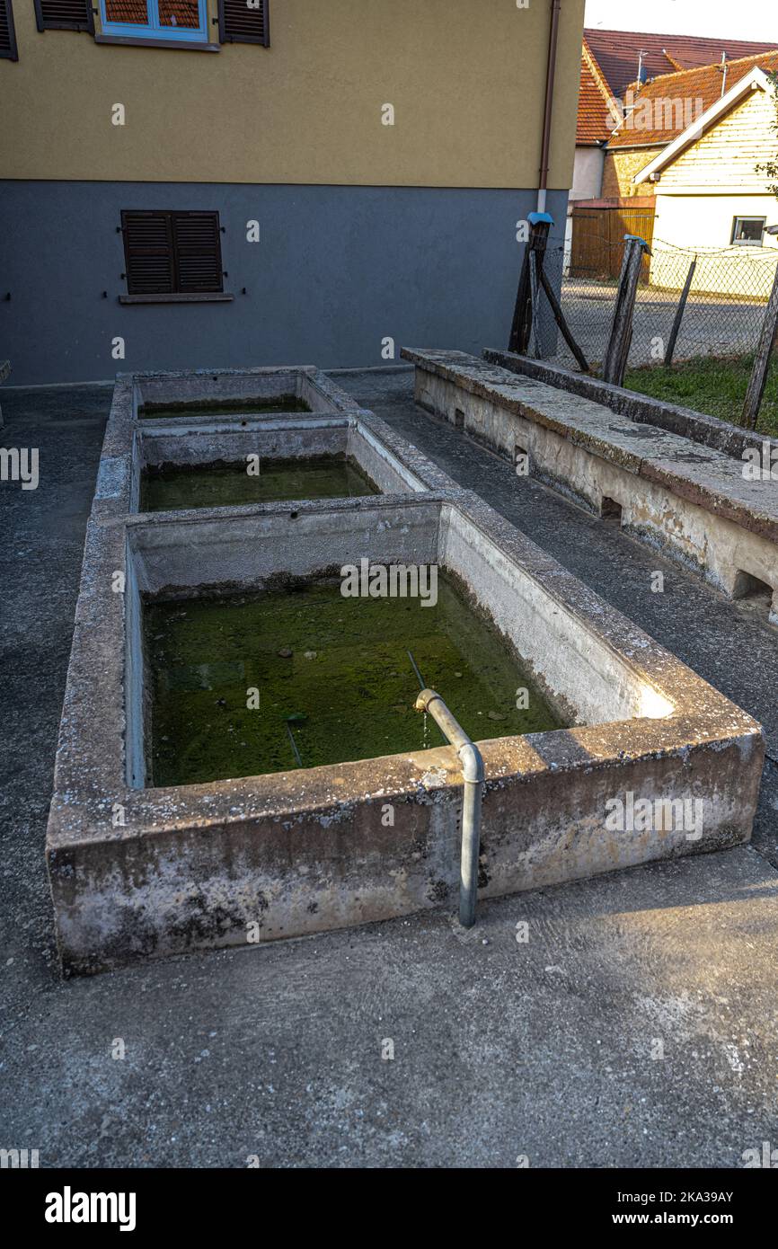 A Historical Community Water Trough and Clothes Washing Basin in the Alsace Village Saessolsheim, France Stock Photo