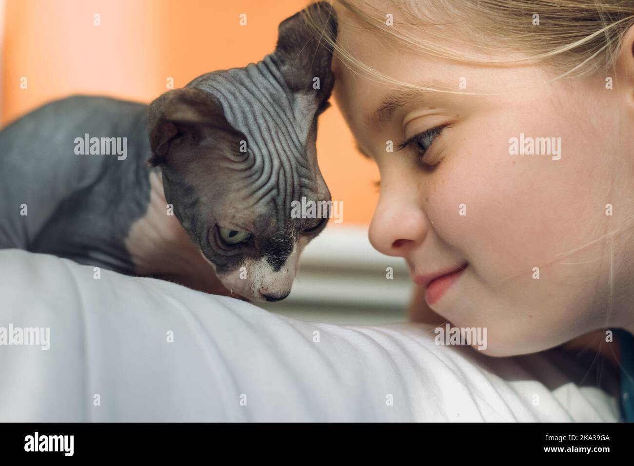 kid girl and Domestic cat. Close-up Stock Photo