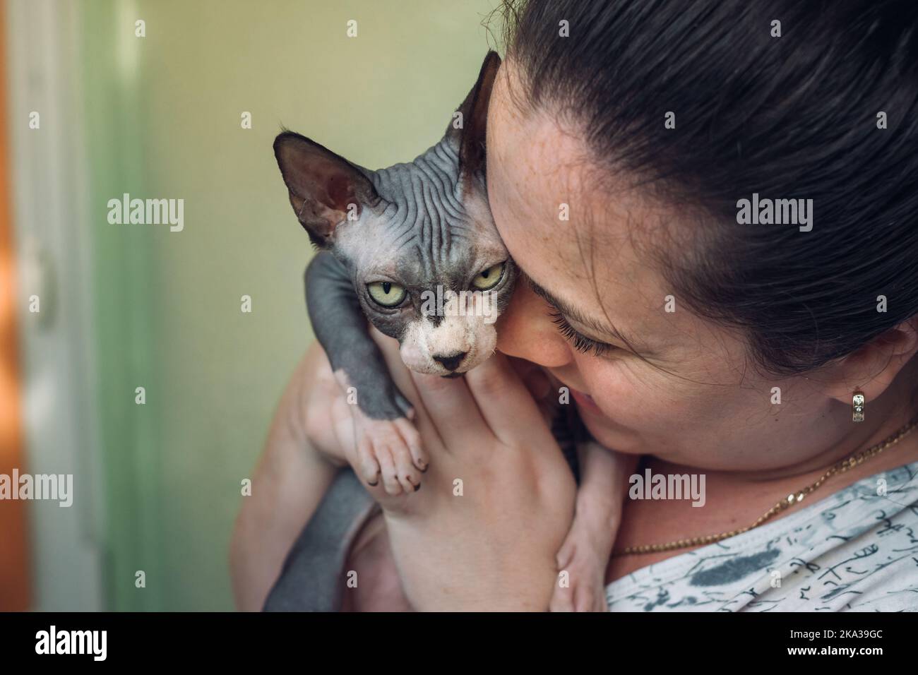 woman carrying Sphynx cat and kisses Stock Photo