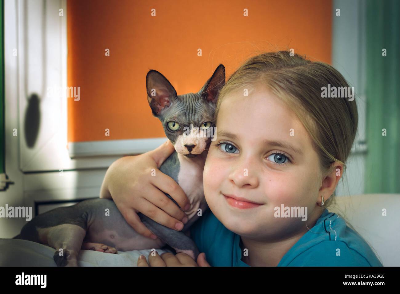 kid girl and Domestic cat Stock Photo