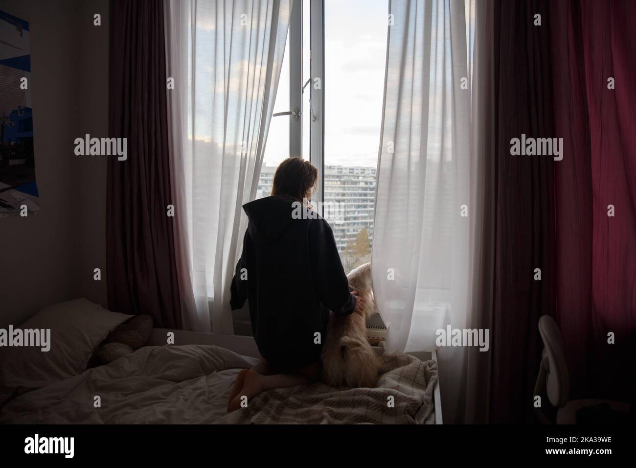 girl, dog look out the window of a city apartment Stock Photo