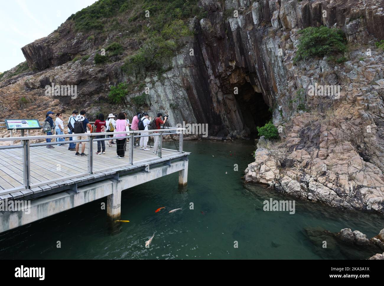 Hexagonal Rocks Hk Press tour from The Agriculture, Fisheries and Conservation Department ...