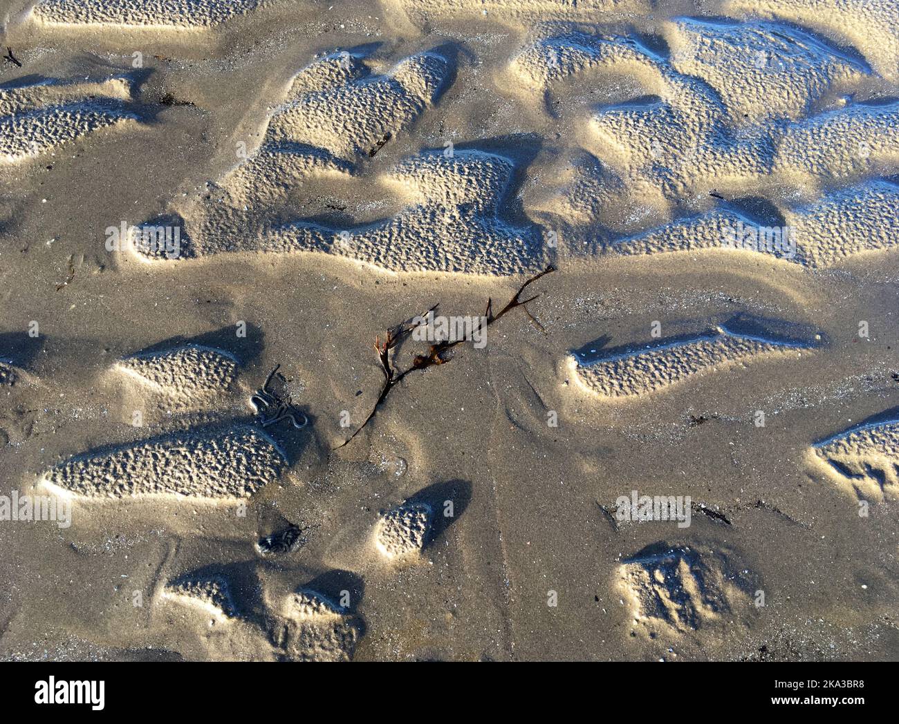 Linguoid ripple hi-res stock photography and images - Alamy