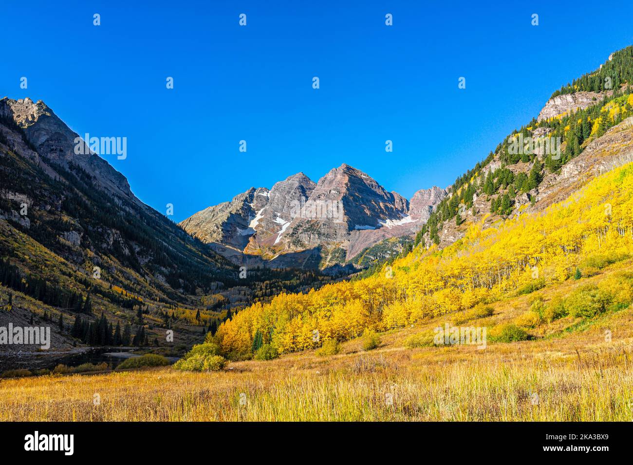 Aspen, Colorado Maroon Bells rocky mountains in October fall autumn season with yellow golden trees foliage and clear blue sky in morning sunrise with Stock Photo