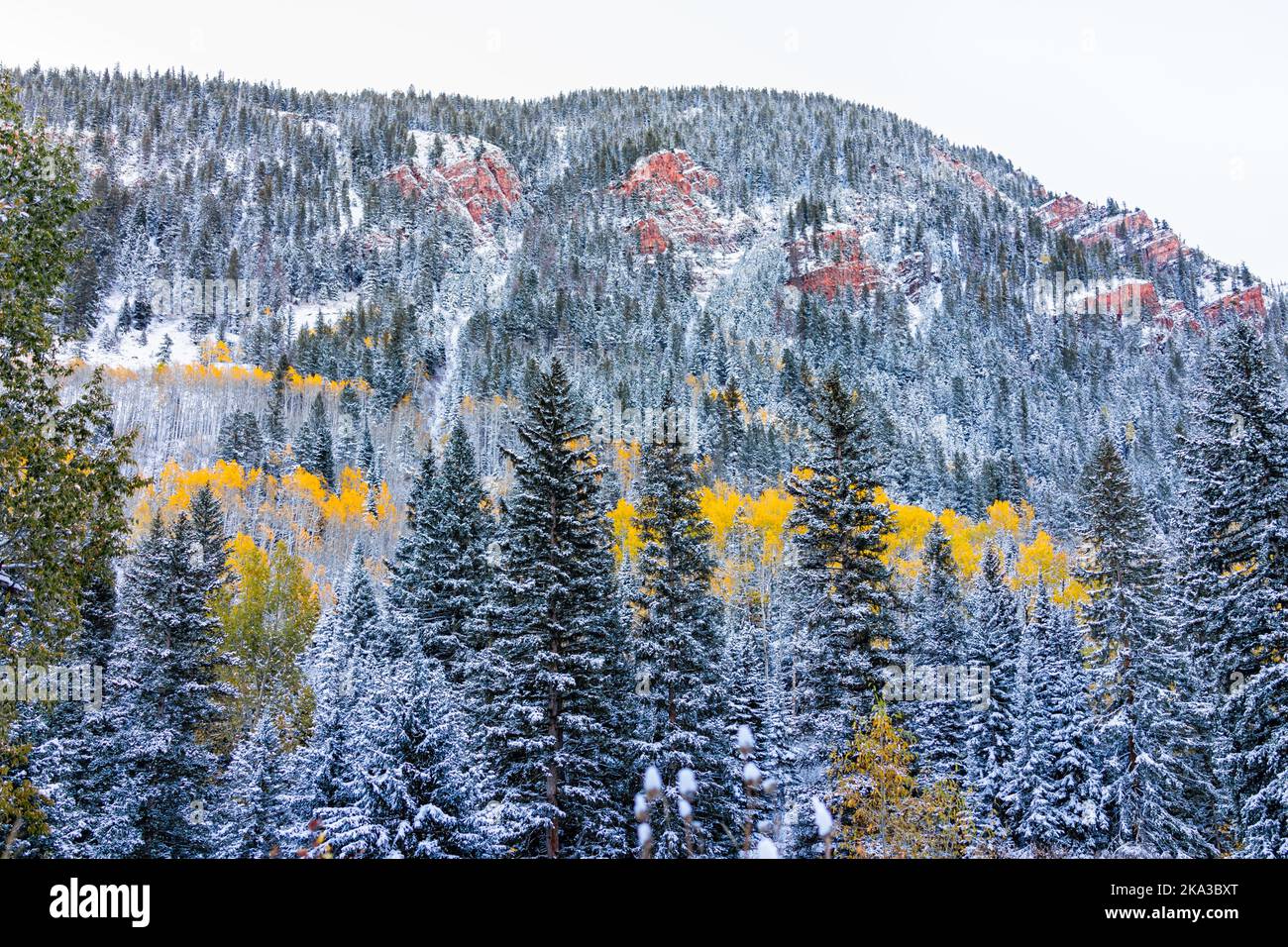 Maroon Bells are in Rocky Mountains in Aspen, Colorado and red peak covered in snow after winter snow in late autumn fall season in October with froze Stock Photo