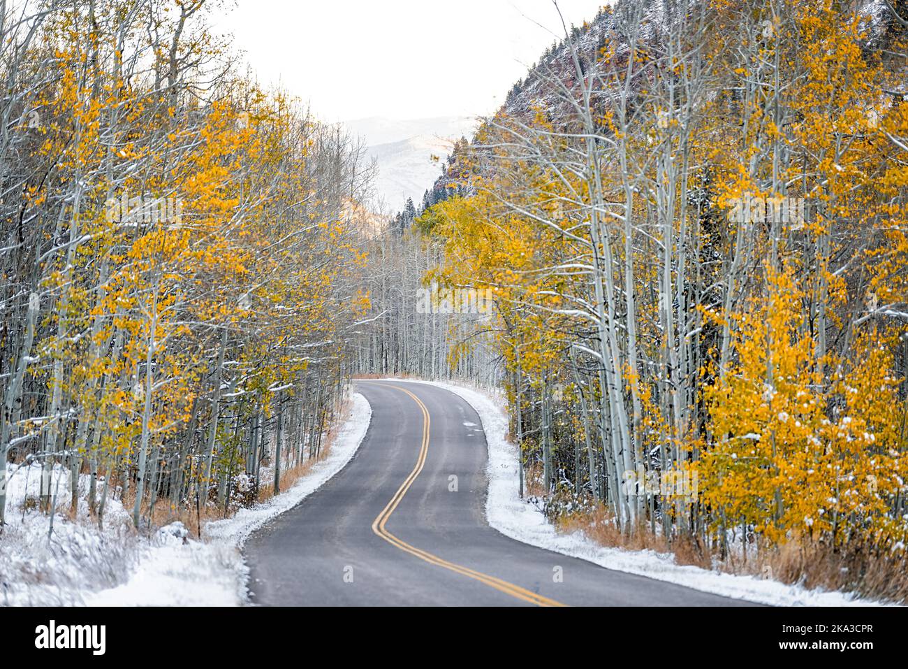 Forest covered in snow in Aspen, Colorado Maroon bells mountains in October 2019 and vibrant trees foliage autumn, sky along road Stock Photo