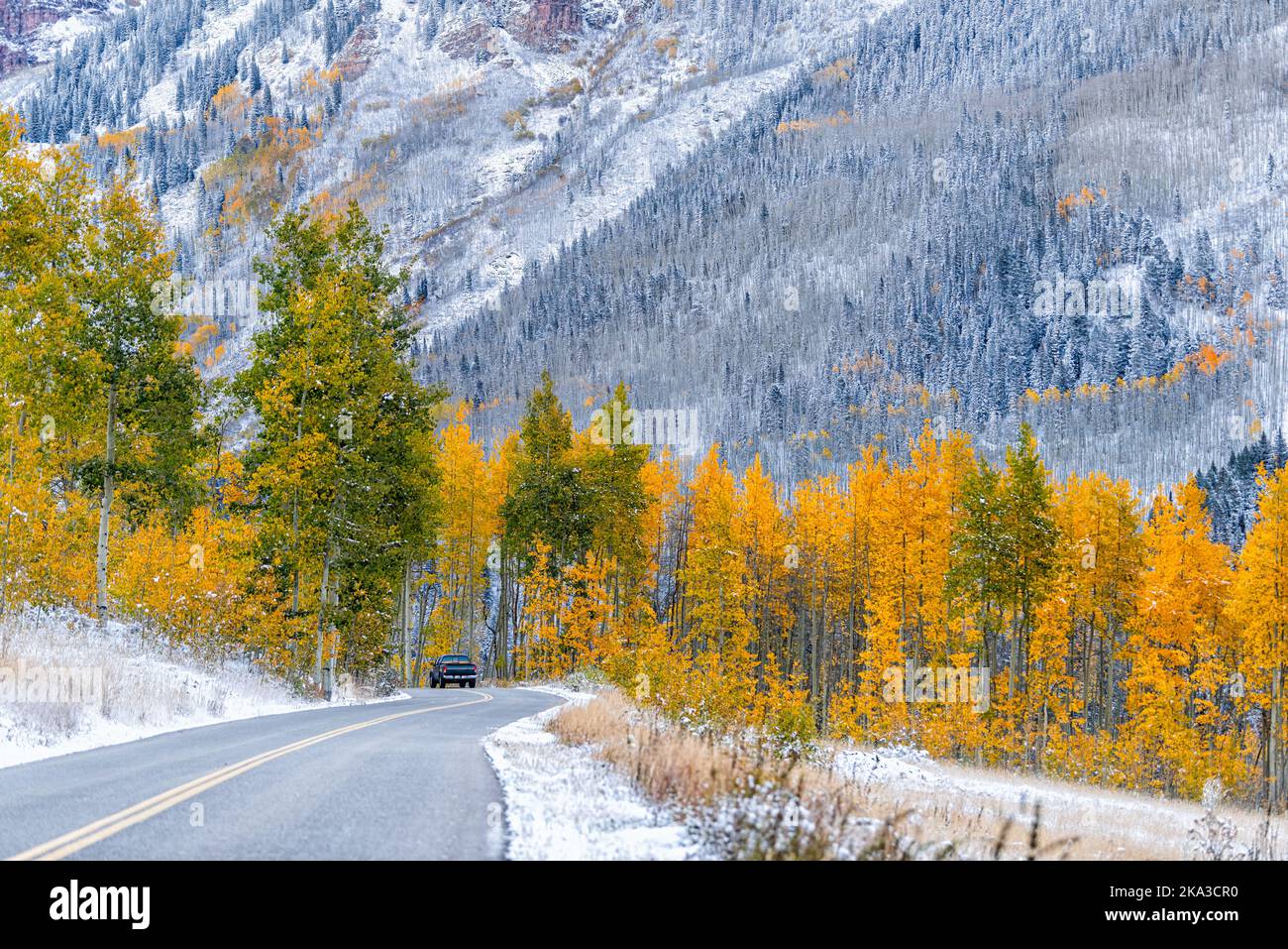 Forest yellow green trees covered in snow in Aspen, Colorado of Maroon bells mountains by vibrant foliage autumn along road with car driving Stock Photo