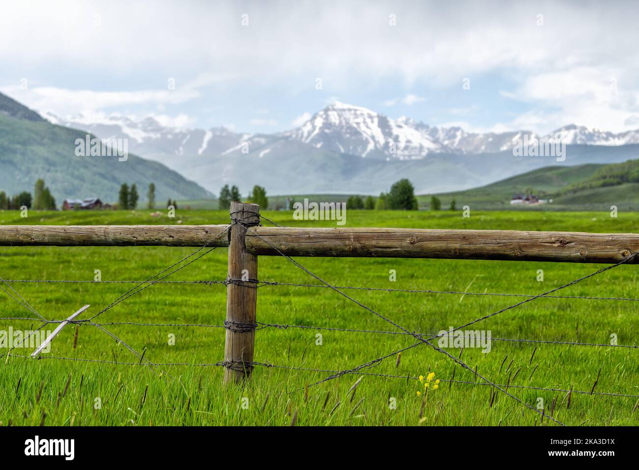 Crested Butte, Colorado farm countryside view of wooden wire fence by farmland field and yellow flowers growing in summer on cloudy day with green gra Stock Photo