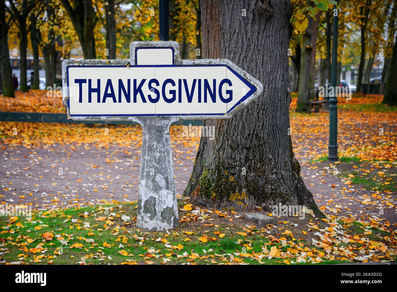 Thanksgiving written on a vintage roadsign, autumnal background Stock Photo