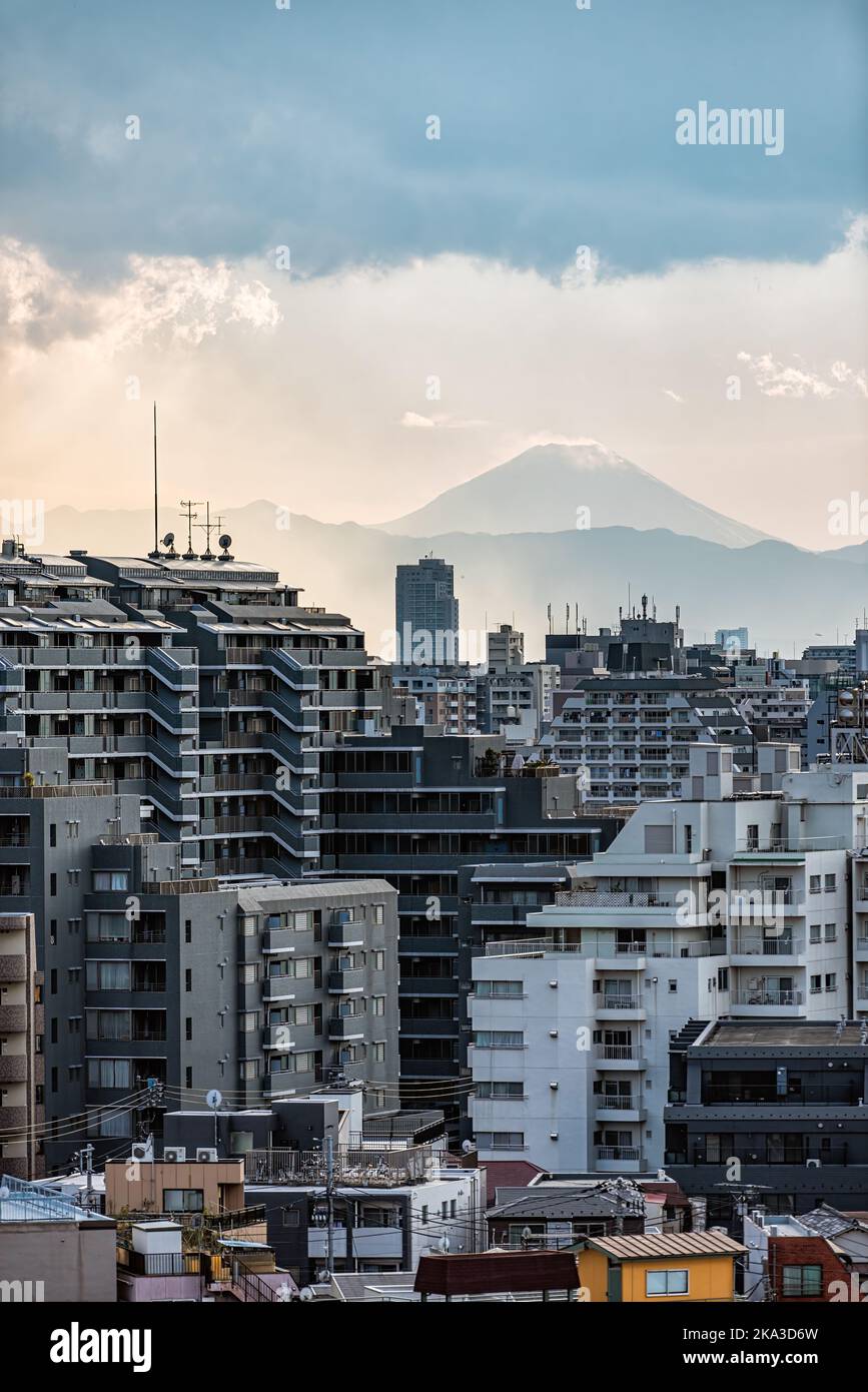 Vertical view of Shinjuku at Tokyo, Japan cityscape skyline at sunset with view of Mount Fuji and golden sunlight with apartment buildings and mountai Stock Photo
