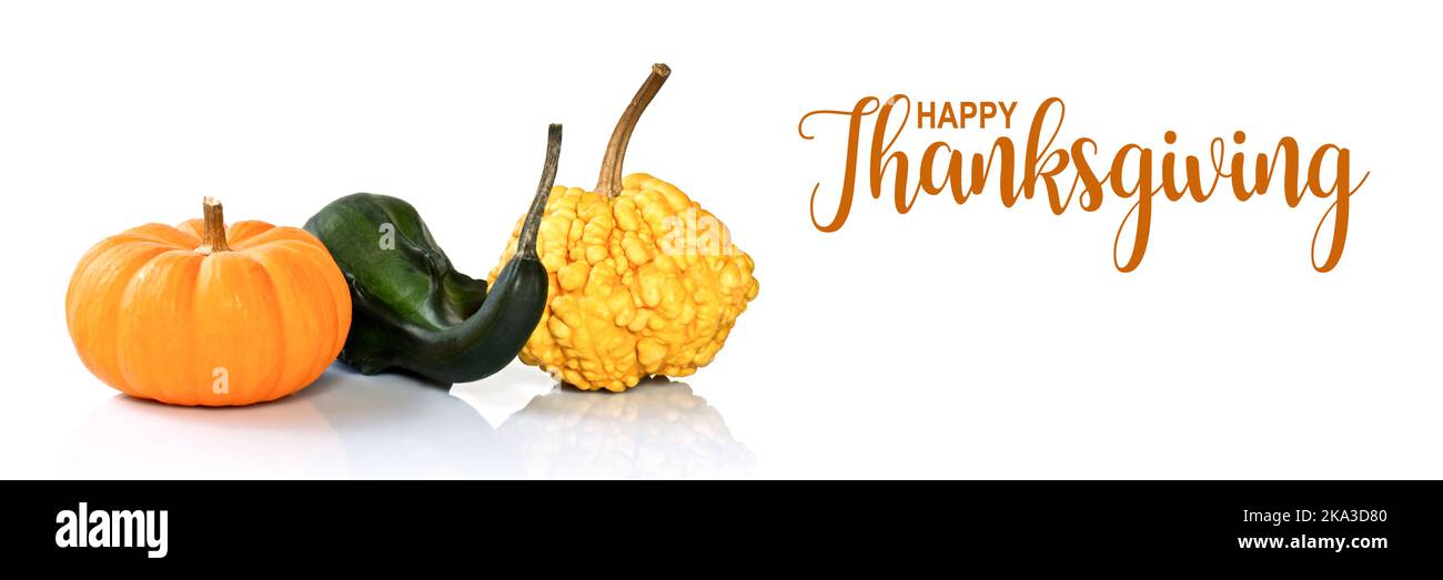 Three gourds isolated on white panoramic background. Happy Thanksgiving day web banner Stock Photo