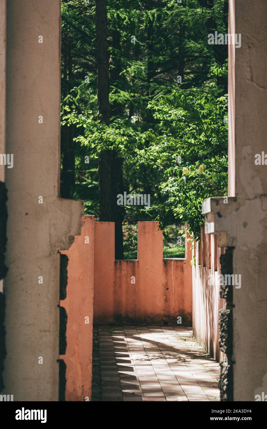 Trees behind fence hi-res stock photography and images - Alamy