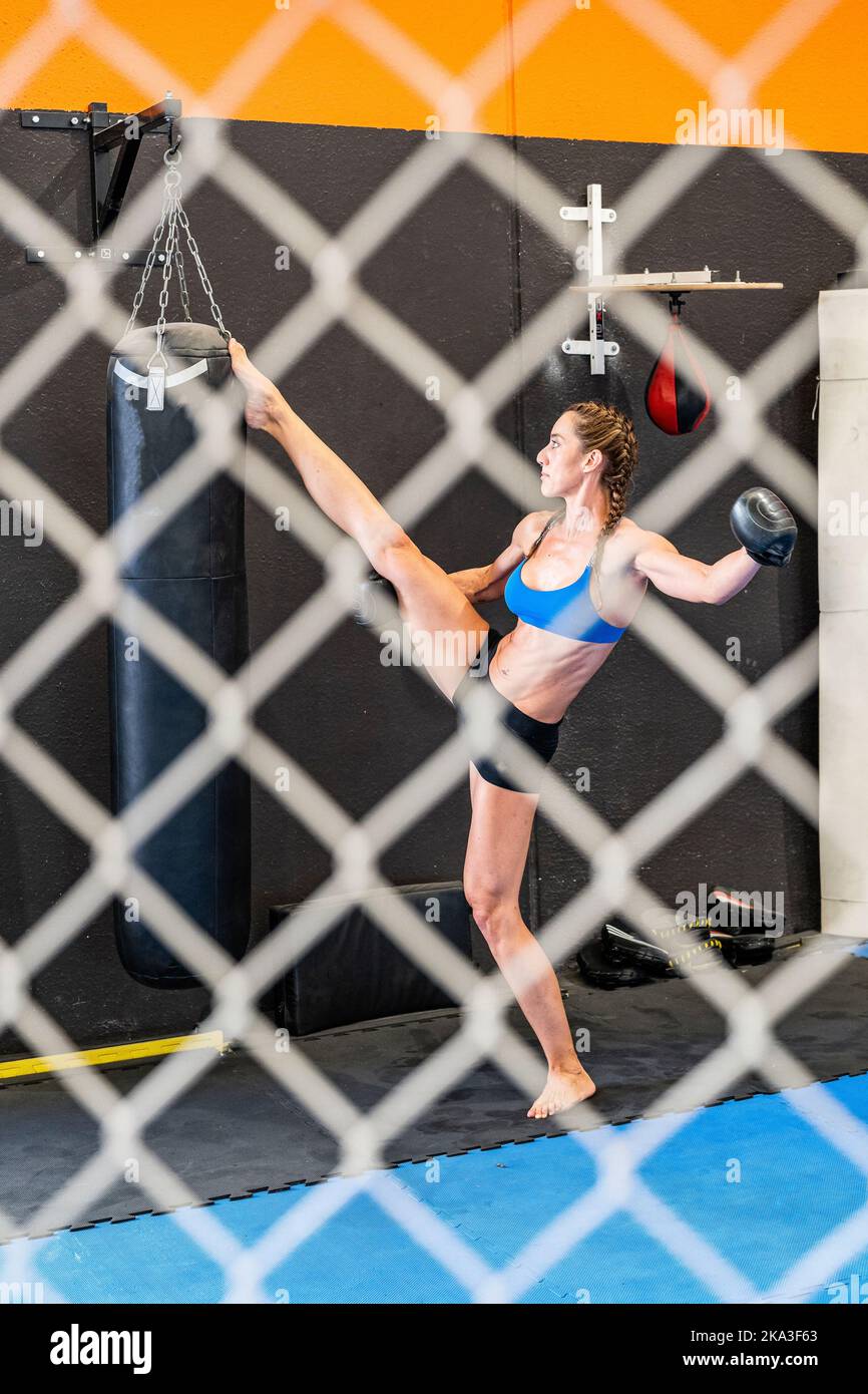 Full body barefoot female athlete kicking punching bag with raised leg